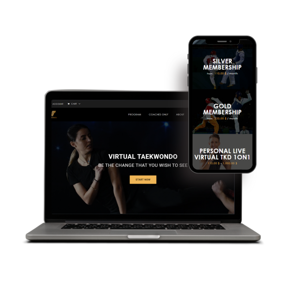 Virtual Taekwondo